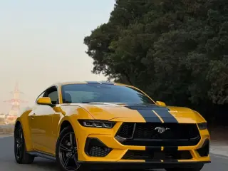 2024 Ford Mustang in Dubai used car