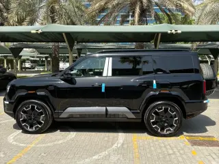 2025 BYD Leopard in Dubai used car