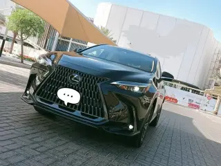 2025 Lexus NX في Sharjah سيارة مستعملة