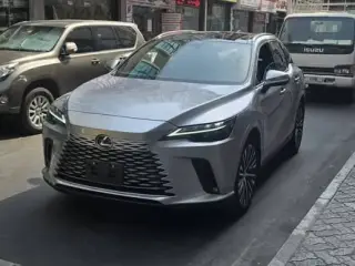 2024 Lexus RX in Dubai used car
