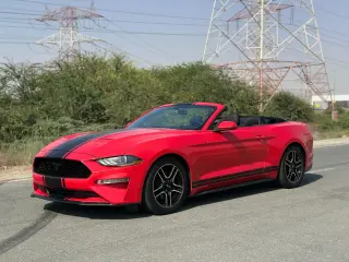 2019 Ford Mustang in Dubai used car