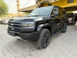 2025 BYD Leopard in Dubai used car