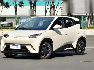 2025 BYD Seagull in Dubai used car