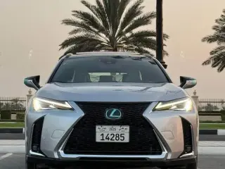2024 Lexus UX in Dubai used car