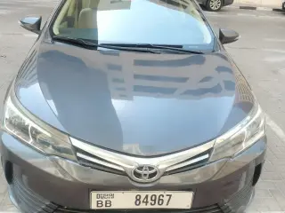 2019 Toyota Corolla in Dubai used car
