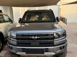 2025 BYD Leopard in Dubai used car