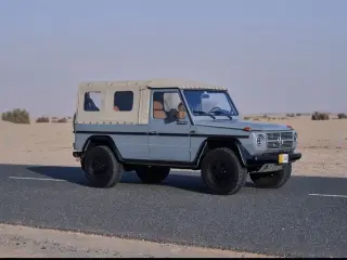 1993 Mercedes-Benz G-Class in Dubai used car