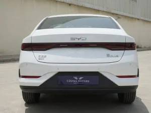 2025 بي واي دي كين