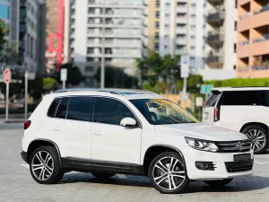 2016 Volkswagen Tiguan S