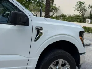 2024 فورد أف ١٥٠ Shelby