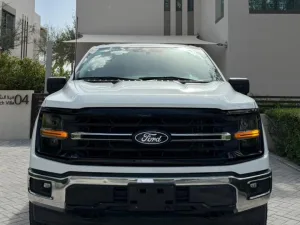 2024 فورد أف ١٥٠ Shelby