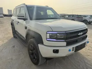 2025 BYD Leopard in Abu Dhabi used car