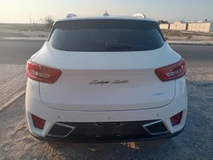 2020 زوتي تي ٦٠٠