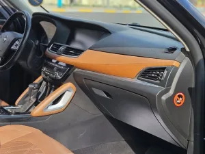 2018 Borgward BX7