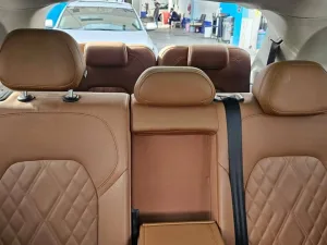 2018 Borgward BX7