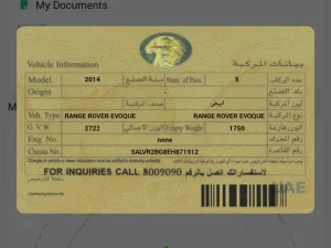 2014 لاند روفر رانج روفر ايفوك