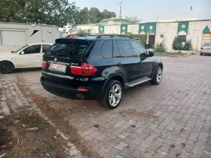 2007 BMW X5 sDrive20i