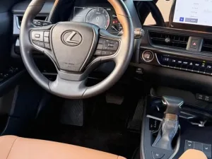 2023 Lexus UX UX 200 Luxury
