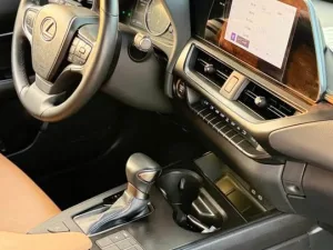 2023 Lexus UX UX 200 Luxury