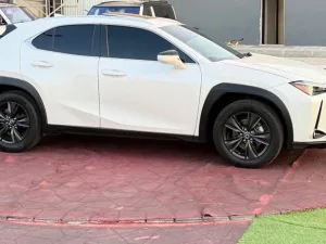 2023 Lexus UX UX 200 Luxury
