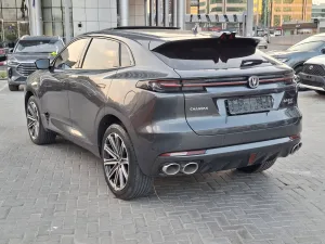 2023 تشانجن يوني كي
