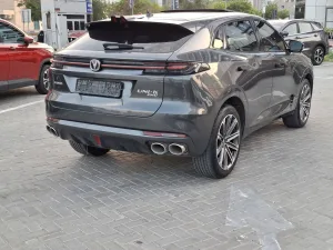 2023 تشانجن يوني كي