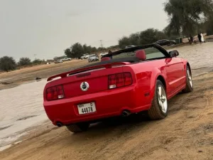 2009 فورد موستانج EcoBoost Convertible
