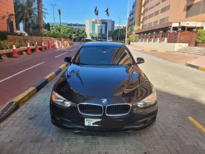 2016 BMW 3-Series 316i