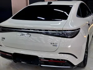 2025 بي واي دي سيل