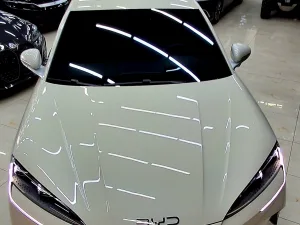 2025 بي واي دي سيل