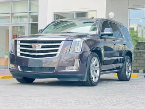 2015 كاديلاك اسكاليد Luxury