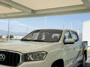 2021 Maxus D60