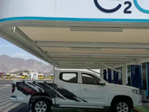 2021 Maxus D60