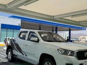 2021 Maxus D60