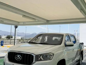 2021 Maxus D60