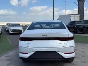 2025 بي واي دي كين