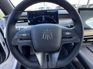 2025 بي واي دي كين