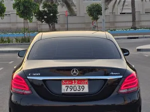 2015 Mercedes-Benz C-Class C300