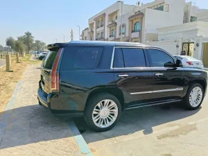 2018 كاديلاك اسكاليد Premium Luxury