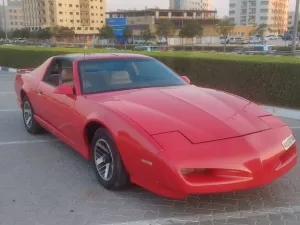1991