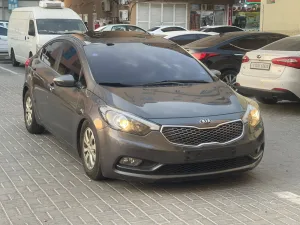 2013 كيا كي ٣ No Trim
