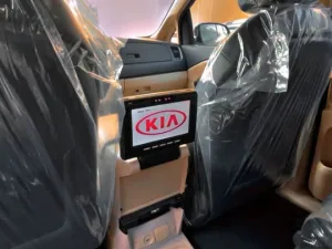 2015 Kia Sedona SX