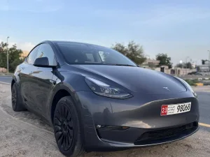 2023 تسلا Y موديل Performance