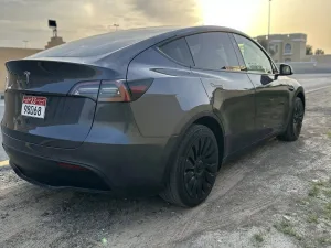 2023 تسلا Y موديل Performance