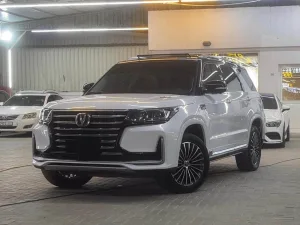 2022 تشانجن سي اس ٩٥ No Trim