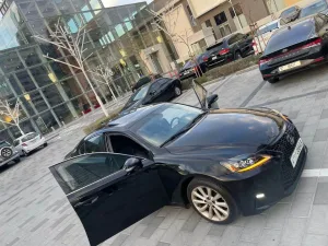 2010 لكزس أي أس ٢٥٠ No Trim