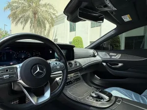 2019 Mercedes-Benz CLS CLS450