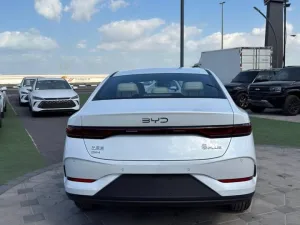 2025 بي واي دي كين