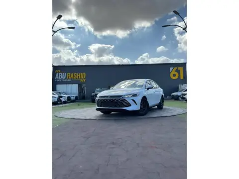 2025 بي واي دي كين