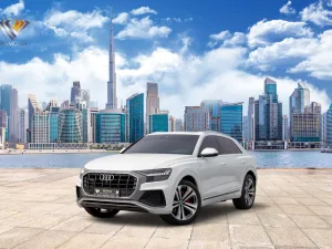 Audi Q8 2019